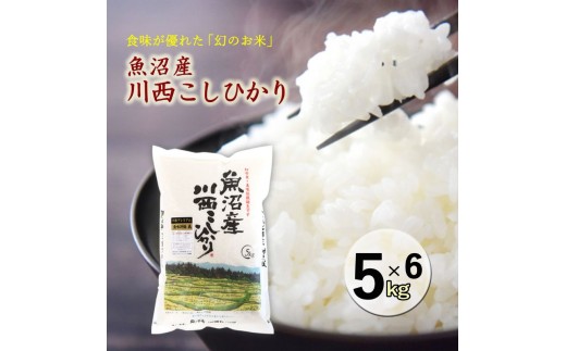 
                  魚沼産川西こしひかり5kg×6 [№5340-1141]
                