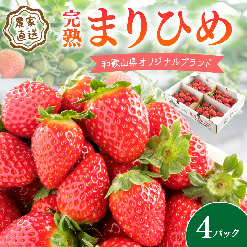【ふるさと納税】《全国いちご選手権2022年第2位・2023年第3位！》農家直送 完熟まりひめ（和歌山県オリジナルブランド いちご）4パック《先行予約》【配送不可地域：北海道・沖縄・離島】ふるさと納税 いちご 甘い 苺 ふるさと納税 イチゴ 予約 フルーツ 果物