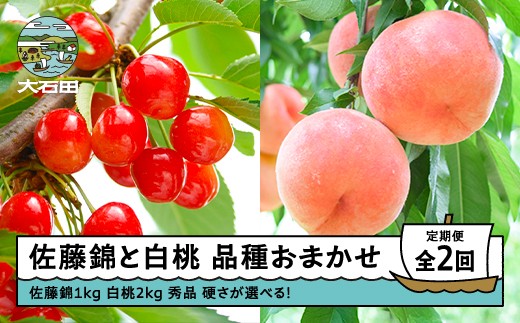 
                  【先行予約】2回定期便 佐藤錦1kg×白桃2kg さくらんぼ 白桃 品種おまかせ 選べる定期便 山形県産 2026年産 令和8年産 フルーツ 果実  ry-ft2shx
                