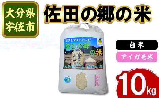 
            ＜新米・令和6年産＞佐田の郷の米 アイガモ米(10kg)お米 白米 ごはん ブランド米 常温 常温保存【111700603】【雅設置プロジェクト　佐田の郷の会】
          