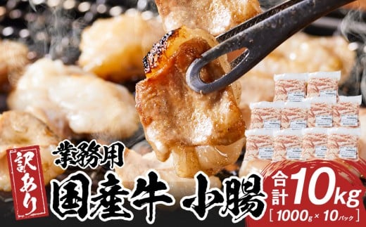 《業務用・訳アリ》国産牛　小腸　10kg