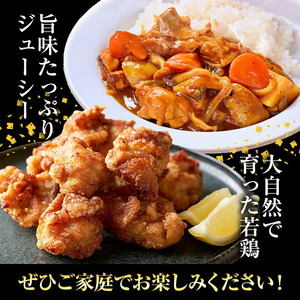 【12ヶ月定期便】 九州産若鶏もも肉 計29.76kg 310g×8袋 肉 お肉 鶏肉 若鶏 もも肉 唐揚げ てりやき チキンカレー 棒々鶏 煮物 国産 九州 熊本県 菊池市 送料無料《お申込み翌月か