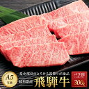 【ふるさと納税】飛騨牛「希少部位」A5 三角バラ 焼肉用 300g | 国産 肉 牛肉 焼肉 和牛 黒毛和牛 飛騨牛 希少部位 グルメ おすすめ AD101