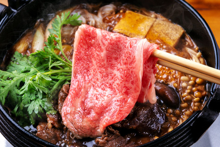 日光和牛 肩ロース しゃぶしゃぶ・すき焼き用スライス 600g 日光産とちぎ和牛 [0836]
