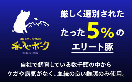 『香心ポーク』切り落とし 約250g×4パック 豚肉切り落とし[AYCK024]