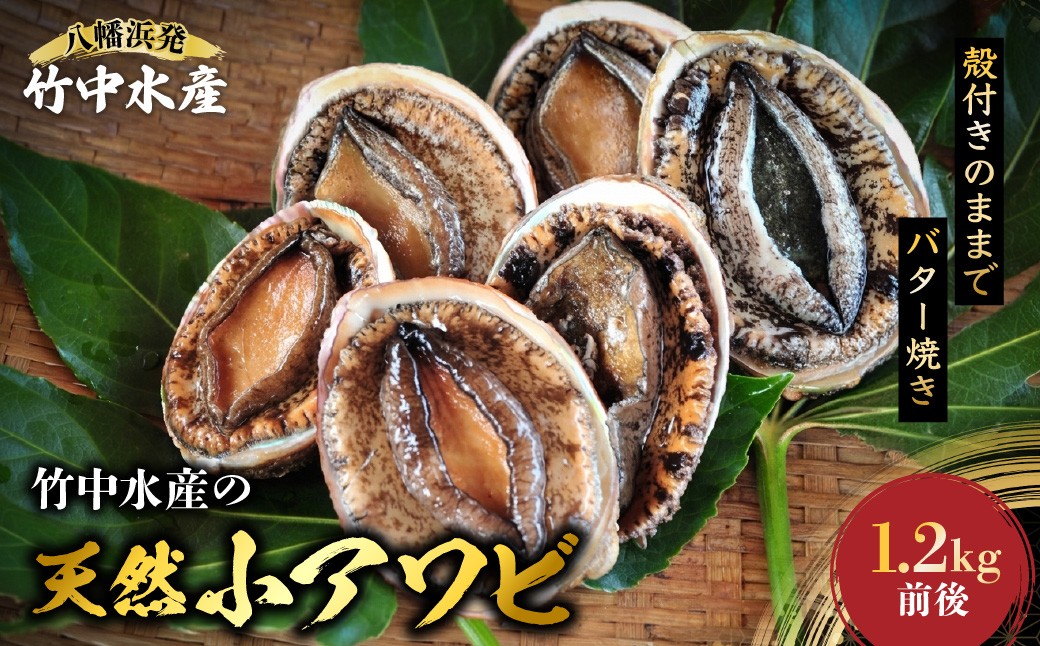 
                  竹中水産の天然小アワビ、殻付きのままでバター焼き1.2kg前後(10～15個目安)＜H22-248＞【1073905】 YWTM066
                