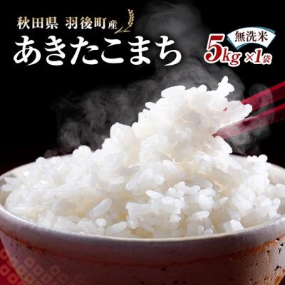 ふるさと納税 羽後町 秋田県羽後町産あきたこまち 無洗米 5kg×1袋[No.5325-0582]