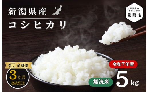 
                  【3か月定期便】R7年産 新潟県産 コシヒカリ 5kg （無洗米）新潟のど真ん中 見附市 こしひかり 米 お米 白米 おすすめ 人気 こめ コメ 新潟 見附 7年 2025年産 ふるさと納税
                
