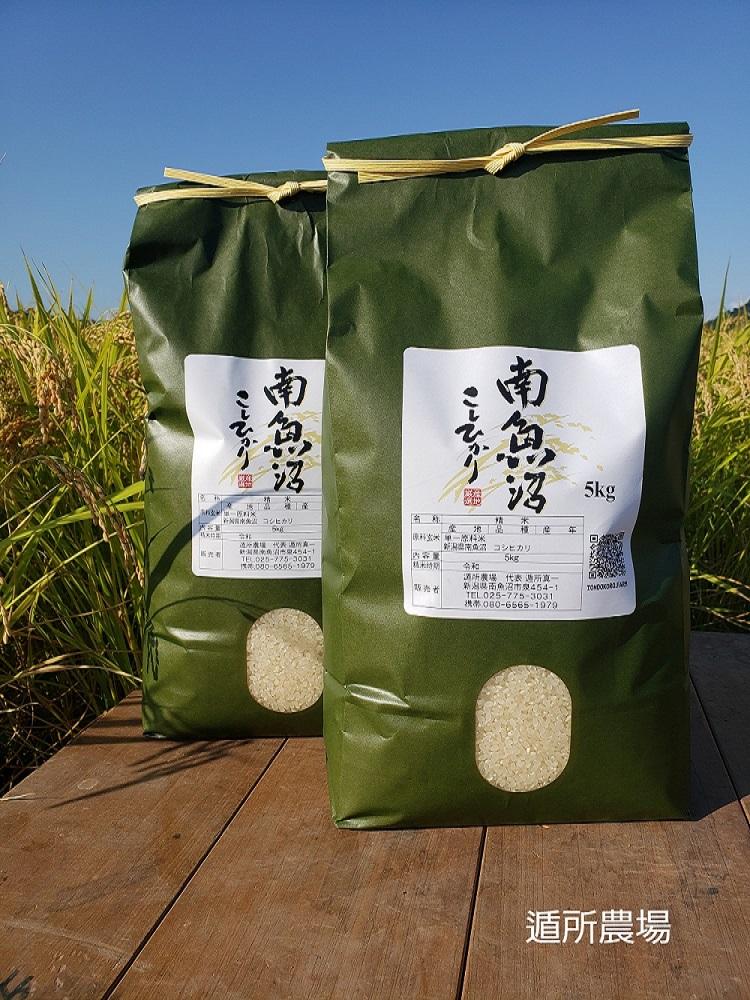 【令和8年産新米予約】【お米定期便/全６回】南魚沼産コシヒカリ　白米１０ｋｇ（５ｋｇ×２）【定期便 銘柄米 ブランド米 精米 こしひかり コシヒカリ 魚沼産 新潟米】【2026年10月中旬から1ヶ月以内に順次発送予定】