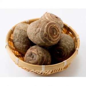 【お試しサイズ】里芋「縄文の里芋」2.8kg【1682110】