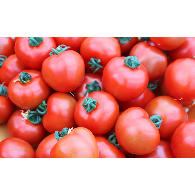 細野ファームの中玉トマト　フルティカ（3kg） 野菜 とまと _イメージ4