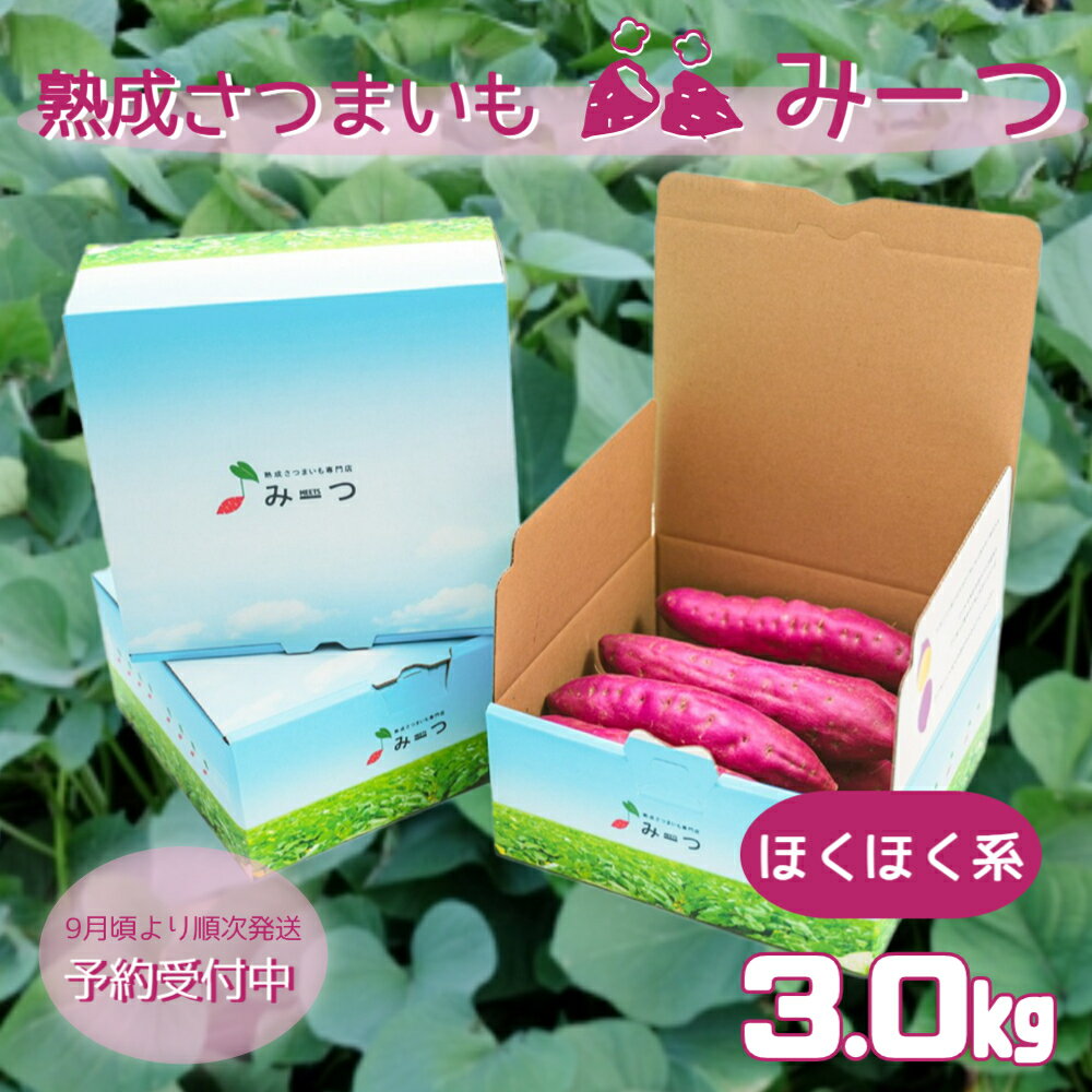【ふるさと納税】【予約受付中・2025年9月頃より順次発送】 熟成さつまいも みーつ 3.0kg（ ほくほく系 ）｜ なると金時 鳴門金時 甘い ホクホク 国産 熟成 産地直送 スイーツ 焼き芋 焼芋 焼きいも スイートポテト おやつ 天ぷら 干し芋 ギフト お土産 おみやげ