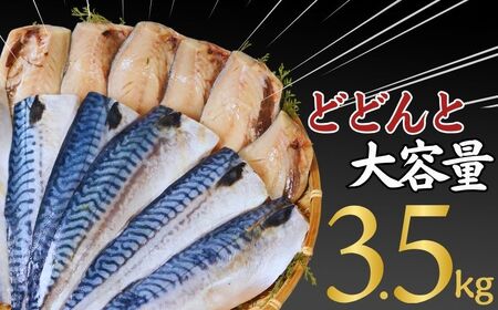 訳あり 塩鯖フィレ 3.5kg  塩鯖 塩さば 塩サバ 塩さばフィレ 塩サバフィレ 切り身 切身 冷凍 長期保存 お取り寄せ グルメ 大容量 ギフト 贈物 千葉県 銚子市 荒野商店 訳あり 冷凍ｻﾊﾞ