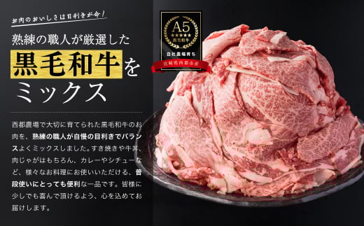 【最高品質A5等級 西都和牛】黒毛和牛切り落とし800ｇ（200ｇ×4）宮崎県産 小分け＜1.2-19＞【カミチクファーム】牛肉 肉 ビーフ 焼肉 すき焼き 大容量 宮崎県西都市