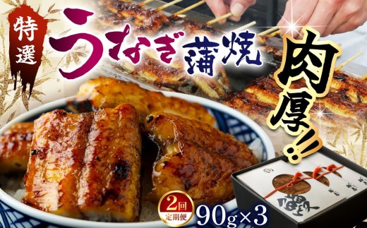 【定期2回】特選 蒲焼うなぎ(短冊)肉厚うなぎを炭火焼！| ふるさと納税 特選 蒲焼うなぎ 短冊 肉厚うなぎ炭 高級蒲焼 国産うなぎ 肉厚 炭火焼うなぎ 贅沢 肉厚うなぎ蒲焼特選 炭火焼うなぎ ギフト 栃木県 那珂川町 送料無料