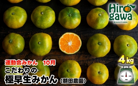 極早生 みかん 家庭用 4kg / 極早生みかん 温州みかん 甘い 家庭用 和歌山 柑橘 ※10月上旬～11月上旬順次発送 ※北海道・沖縄・離島への配送不可 【nuk003-r-4】