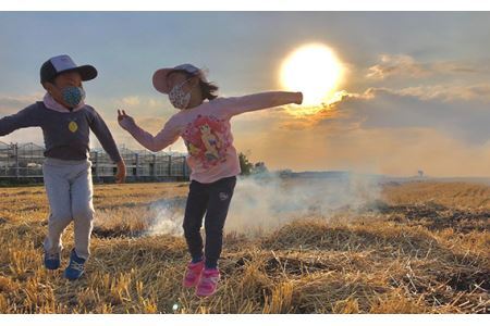 No.302 特別栽培　彩のかがやき　玄米５kg