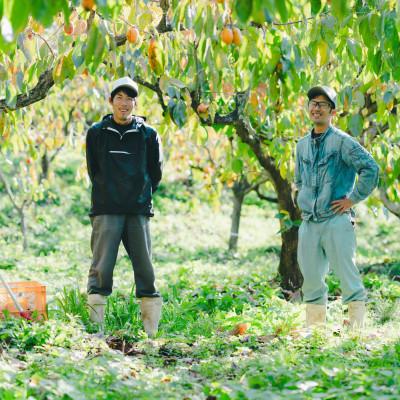 ふるさと納税 松江市 とろ〜り甘い柿の里の西条柿 5kg |  | 01