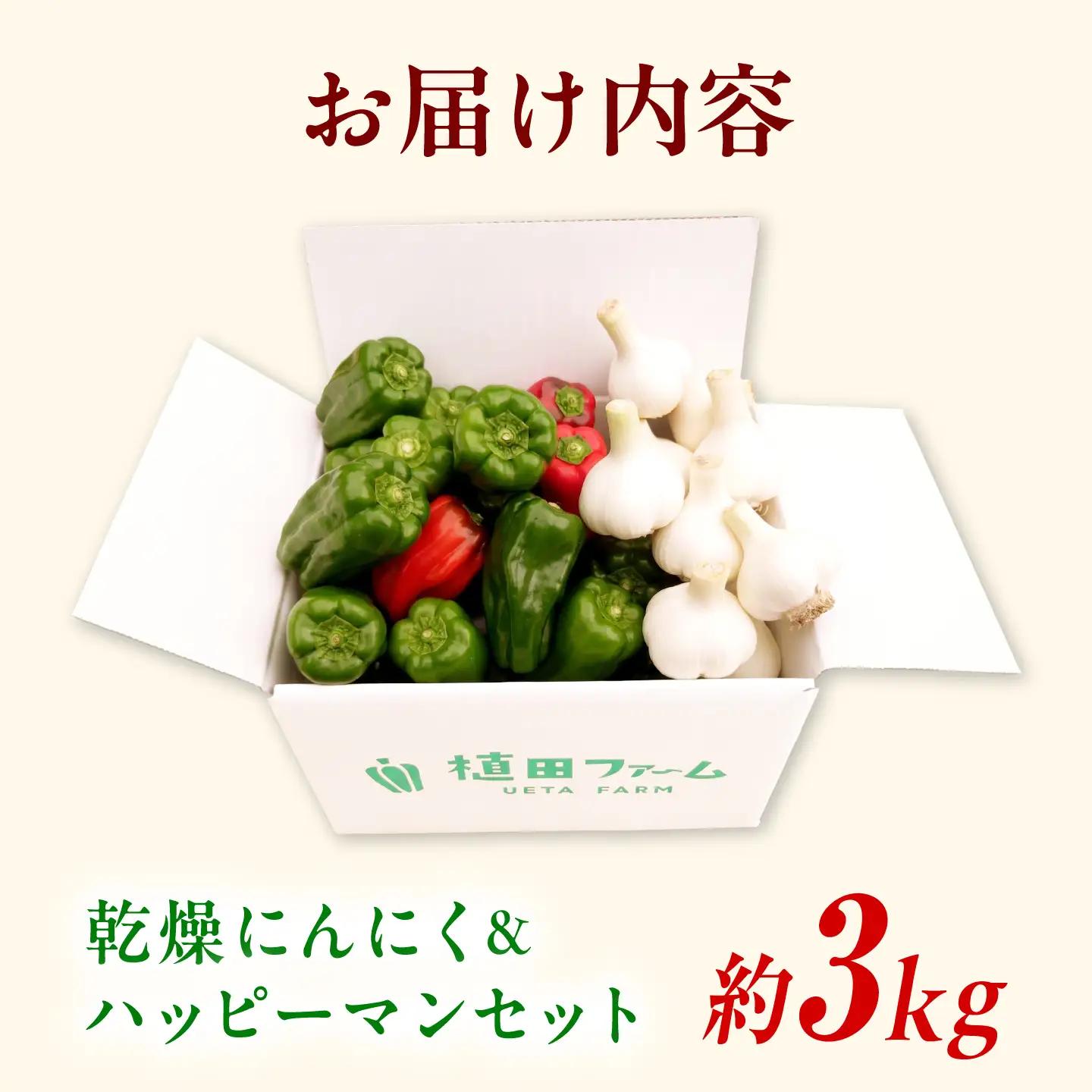 【訳あり】平戸にんにく＆ハッピーマンセット 約3kg ニンニク 自然乾燥平戸にんにく ピーマン 野菜 やさい おかず 副菜 お弁当 新鮮 おいしい 採れたて 国産 高知県 土佐市【株式会社　植田ファー