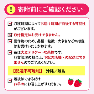 2027年4月より順次発送予定 いちご 2kg 以上 いちご