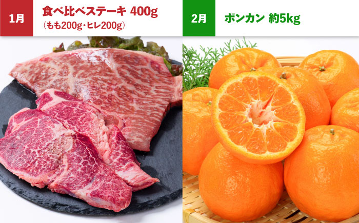 【4回定期便】長崎和牛と旬のフルーツが楽しめる バラエティ定期便 / フルーツ定期便 果物定期便 肉定期便 牛肉 びわ メロン ぶどう みかん / 南島原市 / 贅沢宝庫 [SDZ056]