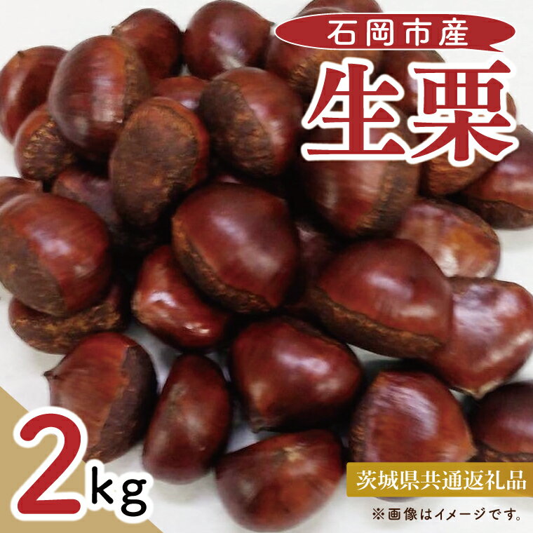 【ふるさと納税】【茨城県共通返礼品】【9月中旬より発送】生栗（石岡市産）2kg【ホクホク ゆで栗 栗ご飯 甘露煮 くり 果物 阿見町 茨城県】（88-04）