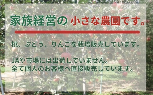 しなのスイート 家庭用 約5kg| 林檎 リンゴ アップル 果物 くだもの フルーツ 長野県産 信州林檎 信州りんご 信州 長野 千曲市