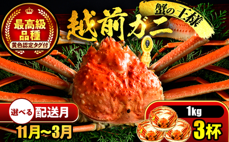 越前がに 1kg×3ハイ 【希望月指定可】  / 蟹 ズワイガニ ずわいがに ボイル 冷蔵 小浜市 / まるほ商店 【配送不可地域：北海道・沖縄・離島】[BFCS032]