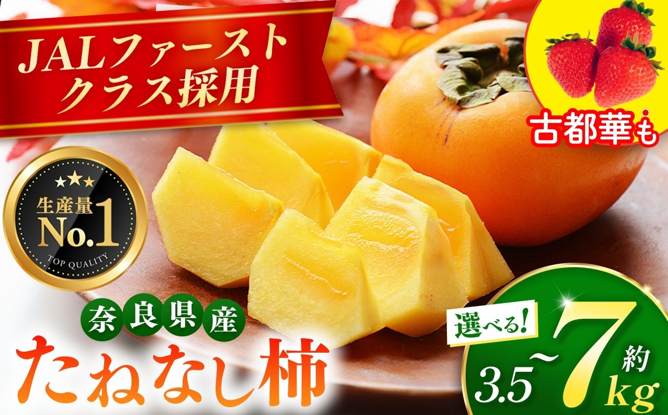 
                  大人気！ リピーター多数！ たねなし柿 ／【定期便2回】甘み堪能！たねなし柿＆古都華いちご | リピーター 多数 フルーツ 果物 くだもの かき カキ たねなし 種無し 種なし 奈良県 五條市 西岡農園 大容量 たっぷり 種なし 甘い 10月 11月 秋 旬 食物繊維 豊富 美容 健康 農家直送 産地直送 お取り寄せ グルメ 送料無料 低農薬 自宅用
                