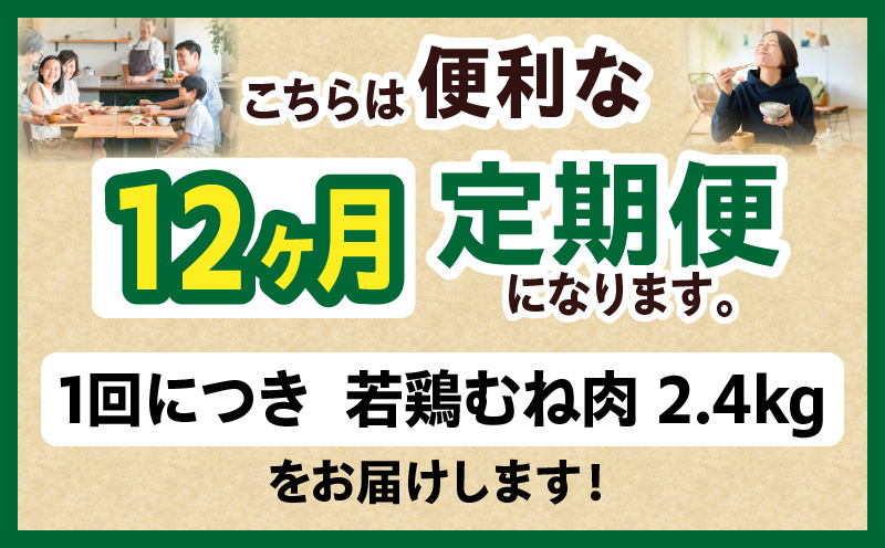 宮崎県産 若鶏切身 むね肉 2.4kg（300g×8袋）【12か月定期便】