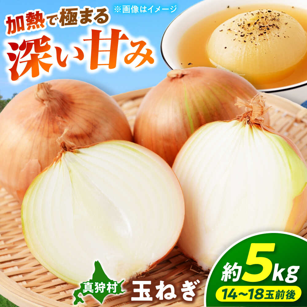 【ふるさと納税】【2026年10月上旬以降順次発送】 玉ねぎ 5kg | 野菜 玉ネギ たまねぎ やさい 北海道 産地直送 先行予約 6000 6000円 6千円 | 道の駅 真狩フラワーセンター[BPAM079]