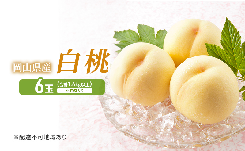 
            [№5615-0522]桃 2026年 先行予約 白桃 6玉 (1.6kg以上) 化粧箱入り もも モモ 岡山県産 国産 フルーツ 果物 セット ギフト 
          