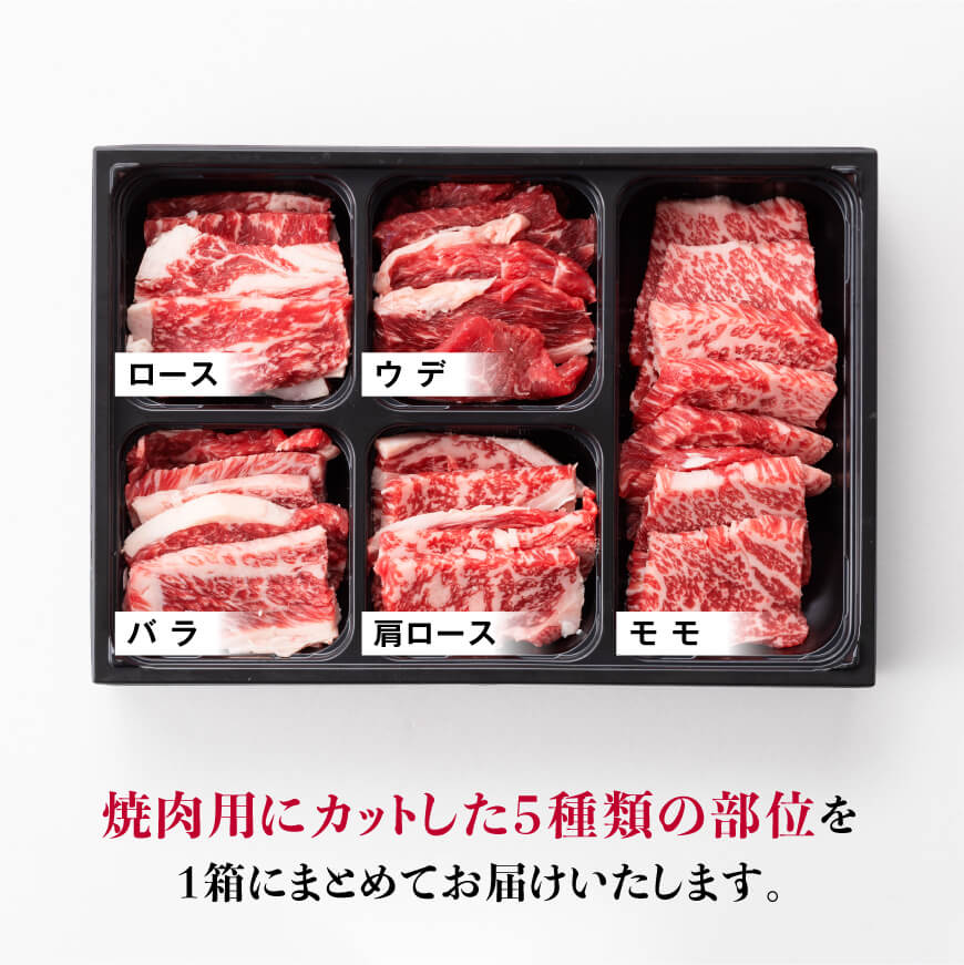 【令和7年2月発送】黒毛和牛5種盛り焼肉セット（数量限定）300g　肉牛肉国産牛肉宮崎県産牛肉牛黒毛和牛牛ミヤチク牛肉BBQ牛肉バーベキュー送料無料牛肉牛肉 [D0637r702] 【令和7年2月発送