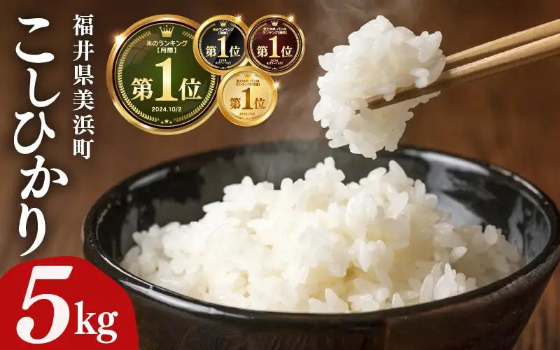 【先行予約】【令和7年産】米 コシヒカリ 5kg × 1袋 精米 福井県美浜町産【2026年9月下旬発送予定】 [m60-a019_09]
