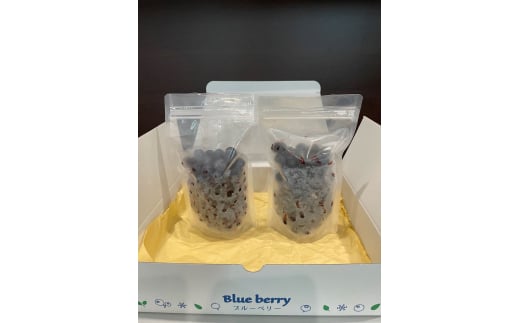 あいさいベリー（冷凍果実）250g×2パック  ブルーベリー フルーツ 冷凍 愛西市/あいさいベリーLABO [AEBZ005]