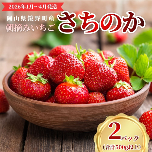鏡野町産 朝摘みいちご「さちのか」2パック（合計500g）【2026年1月～4月発送】【029-a014】
