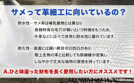 【ふるさと納税】サメ革コインケース2022Model　財布　財布　革製品　工芸品　サメ　鮫　RYUKYU SHARK　革　ファッション　小物　コインケース　うるま　沖縄　革財布