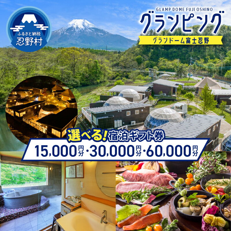 【ふるさと納税】 グランピング 宿泊 旅行 アウトドア BBQ 宿泊券 15,000円分 30,000円分 60,000円分 グランドーム富士忍野 チケット 親子 子供 プライベート おすすめ 富士山 天然温泉 絶景 送料無料 山梨県 忍野村