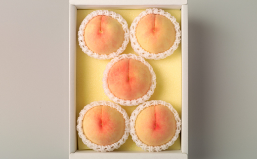 ◆先行受付◆　岡山県産　岡山白桃5～7玉(2)　2025年発送【配送不可地域：離島・北海道・沖縄県】