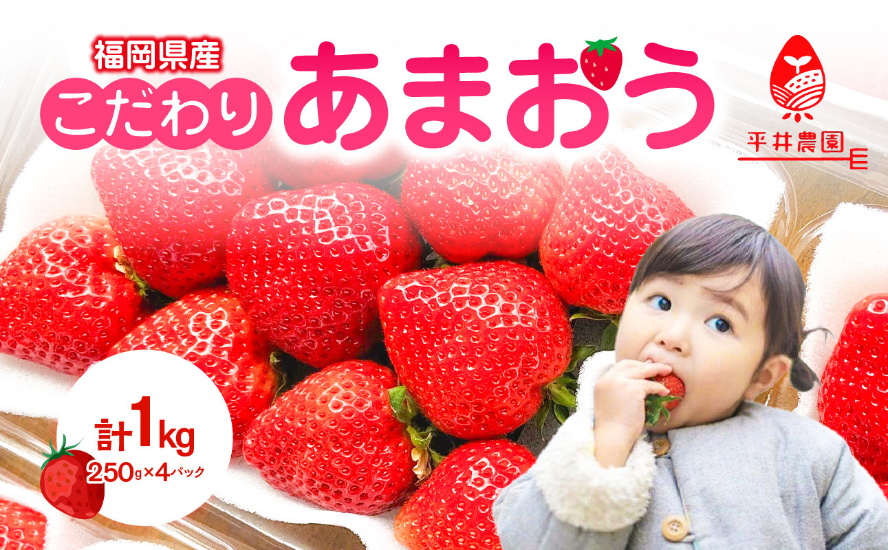 
            こだわりあまおう 250g×4パック（合計1kg）｜2026年2月～順次発送＜ひらい観光農園＞ あまおう いちご 福岡県限定 産地直送 高級ブランド 土づくり 安全性 濃厚な味 あかい まるい おおきい うまい 観光農園 苺ジャム トッピング パフェ ショートケーキ 福岡県 八女市
          