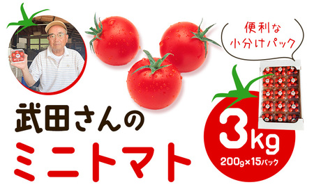 【先行予約】武田さんのミニトマト 3kg 200g × 15パック 武田賢一《2025年7月中旬‐8月末出荷》徳島県 美馬市 ミニトマト 送料無料 野菜 とまと トマト 青果物
