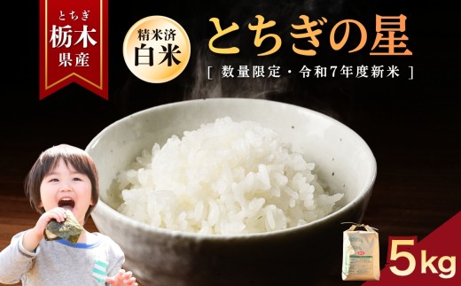 とちぎの星  5kg | お米 米 もち米 ミルキークイーン きぬはなもち とちぎの星 コシヒカリ こしひかり 美味しい お弁当 選べる 定期便 ふるさと 納税 栃木県 矢板市