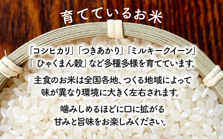 【先行予約 令和7年産】あいかみのお米 2kg（1kg × 2パック） 石川県産 特別栽培米 【コシヒカリ・つきあかり・ミルキークイーンのいずれかお届け】/ 新米 令和7年産 米 単一原料米 国産 こ