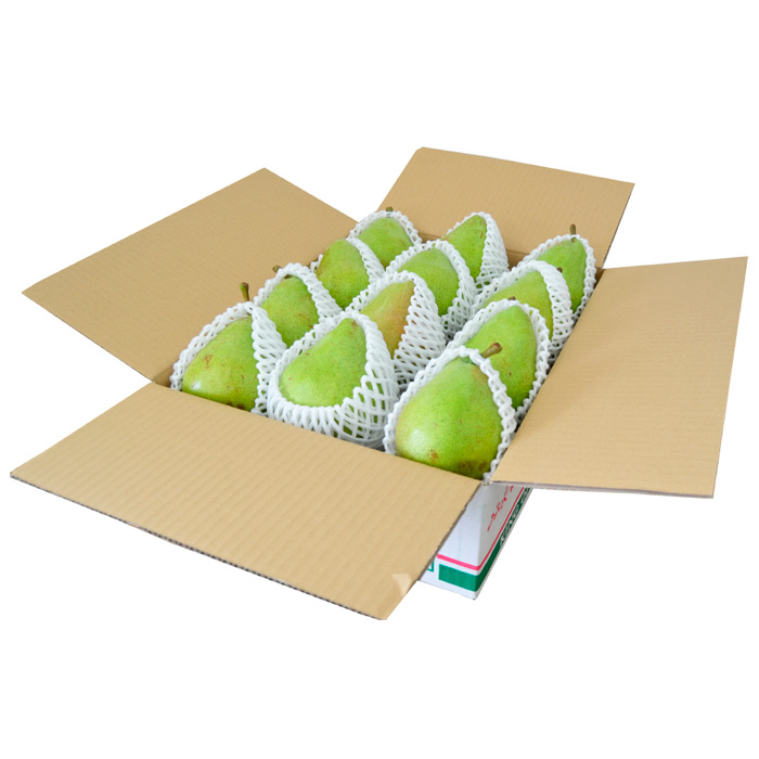 山形の洋梨 マリゲットマリーラ 秀品 約5kg(7～15玉) 【令和6