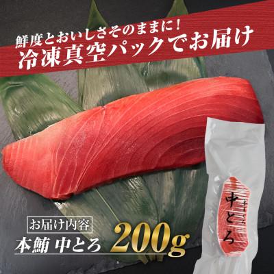 ふるさと納税 土佐市 本マグロ 中トロ 200g 柵 お刺身やマグロ丼にも! |  | 03