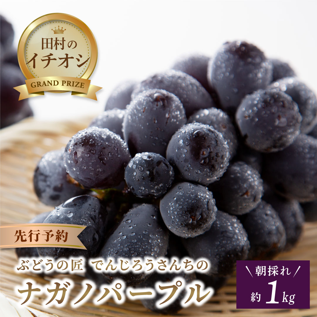 【ふるさと納税】＼先行予約 ナガノパープル 1kg ／ 大粒 冷蔵 高級 種無し 種なし ブドウ ぶどう 品種 果物 甘さ 大粒 美味しい 食べ方 人気 ランキング おすすめ 福島県 田村市 鈴木農園 でんじろうさん
