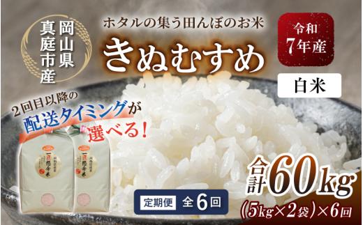 ＜定期便 全6回＞令和7年産 真庭市産きぬむすめ 白米10kg(5kg×2袋)×6回 / お米 国産 岡山県 米 人気 ブランド 2025年産 【tkns-tkb017-cho】