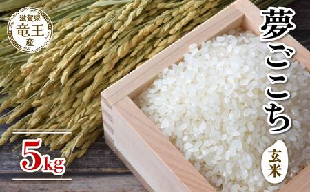 【 先行予約 】 新米 夢ごこち 玄米 5kg( 新米 予約 令和6年産 特別栽培米 米 5kg 玄米 米 5kg 玄米 米 5kg 玄米 米 5kg 玄米 米 5kg 玄米 米 5kg 玄米 米 5