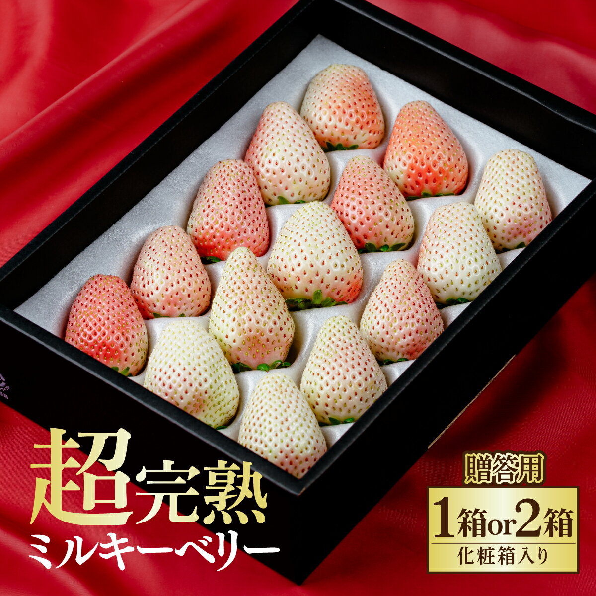 【ふるさと納税】＜先行受付＞いちご 鈴木ファーム厳選『幻のミルキーベリー』ギフトセット 選べる発送月＆内容量 | いちご イチゴ 苺 ミルキーベリー 完熟 果物 フルーツ くだもの 旬 産地直送 栃木県産 贈答用 ギフト プレゼント 鈴木ファーム 栃木県 茂木町