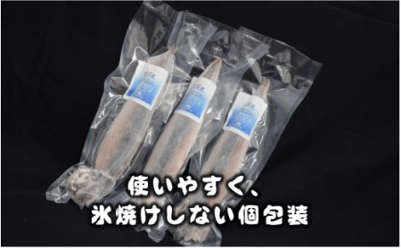 スルメイカ 250-300g×5 イカ